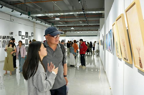 光影定格青春，昆明城市學院攝影專業畢業展呈現視覺盛宴